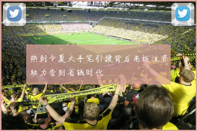 热刺今夏大手笔引援背后老板注资助力告别省钱时代
